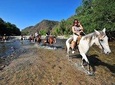 Jungle HorseBack Adventure to Las Palmas Waterfall All Included 
