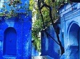 Chefchaouen Full day trip From Fez - Private transportation