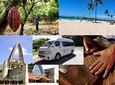 Share Half-Day Tour: Dominican Discovery Of a Culture