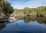 Kayak Jerusalem Creek, Bundjalung National Park, NSW, Australia