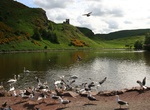 Visit St Margaret's Loch, Holyrood Park, Edinburgh, Scotland