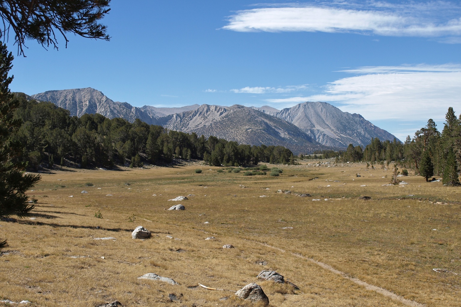 Inyo National Forest