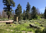 Camp at Bald Mountain Spring, Inyo National Forest, California