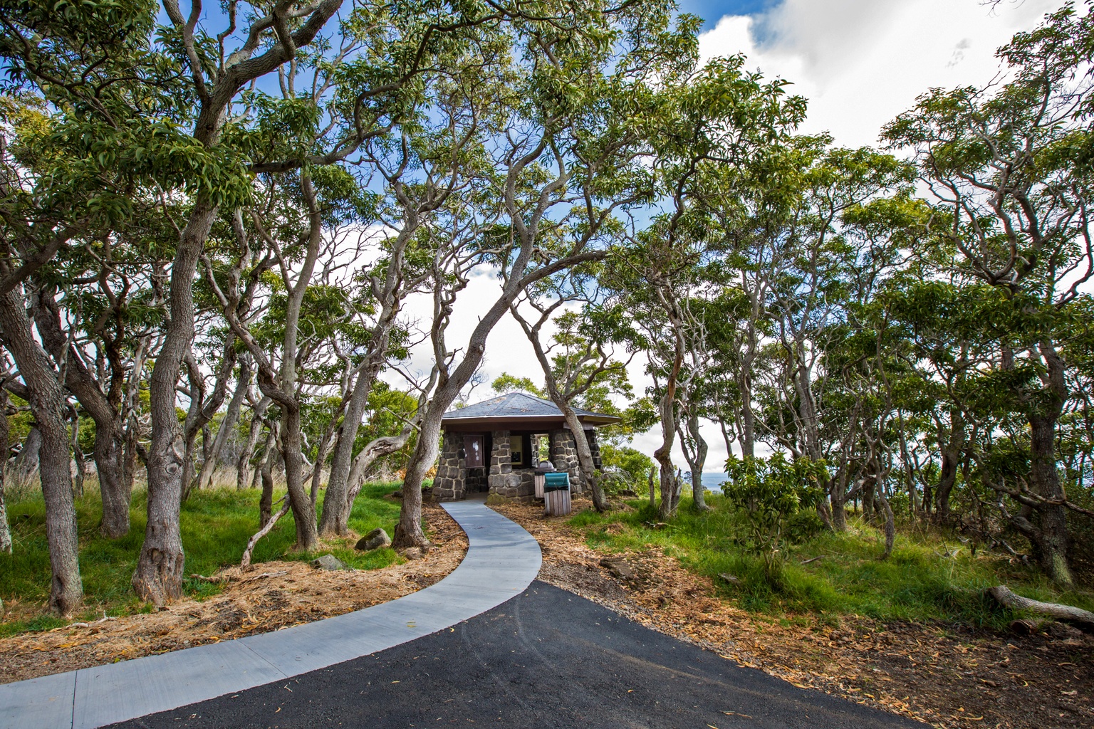Mauna Loa Road to Mauna Loa Lookout