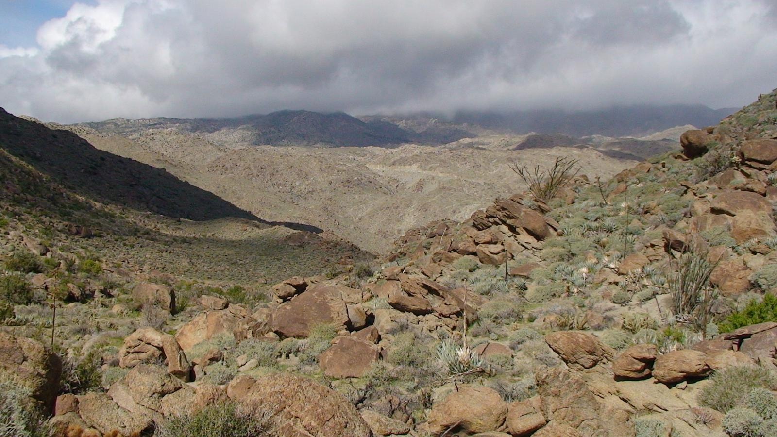 Glorietta Canyon Trail