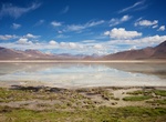 Visit Laguna Blanca, Bolivia