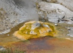 See Ledge Geyser, Norris Geyser Basin, Yellowstone National Park, Wyoming