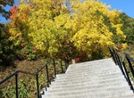 Climb Grand Staircase of Mount Royal, Mount Royal, Montreal, Quebec, Canada