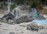 See Porkchop Geyser, Norris Geyser Basin, Yellowstone National Park, Wyoming