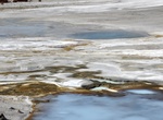 See Blue Geyser, Norris Geyser Basin, Yellowstone National Park, Wyoming