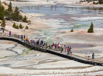 Hike Norris Geyser Basin, Yellowstone National Park, Wyoming
