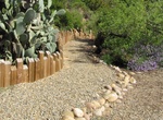 Visit California Native Plant Garden, Balboa Park, San Diego, California