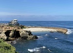 See Seals at Children's Pool (Casa Beach), La Jolla, California