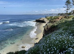 Visit Shell Beach, La Jolla, California