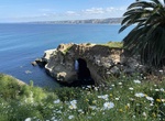 Visit Goldfish Point, La Jolla, California