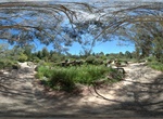 Visit Australian National Botanic Gardens, Canberra