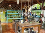 Learn about Herbalism at Punta Mona, Costa Rica