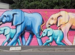 Discover Cape Town's Street Art, South Africa