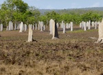 See Magnetic Termite Mounds, Litchfield National Park, Northern Territory, Australia