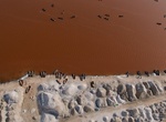 See Lake Retba (Pink Lake), Senegal