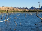 Explore Havasu National Wildlife Refuge (Topock Gorge), Arizona & California
