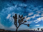 Go Stargazing at Joshua Tree National Park, California