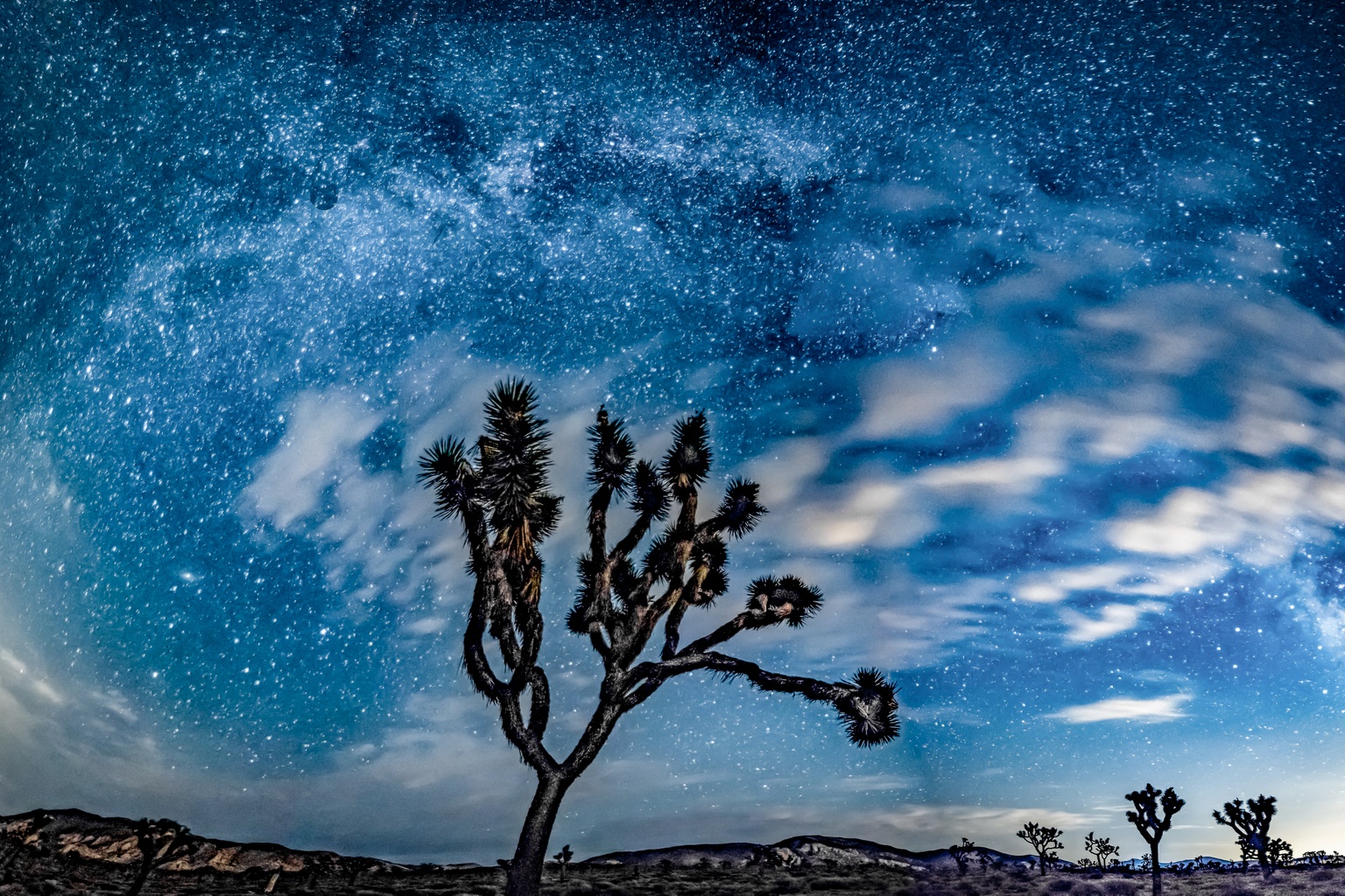 Stargazing at Joshua Tree National Park