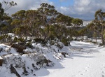 Ski or Hike Mount Mawson, Mount Field National Park, Tasmania, Australia