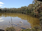 Visit Eagle Tarn, Mount Field National Park, Tasmania