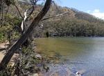 Visit Lake Dobson, Mount Field National Park, Tasmania