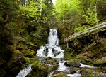 Hike Dickson Falls Trail, Fundy National Park, New Brunswick, Canada
