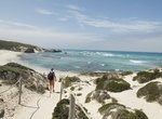 Explore De Hoop Nature Reserve, South Africa (UNESCO site)