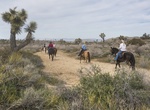 Hike or Ride California Riding and Hiking Trail (Joshua Tree National Park)