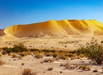 Hear Eureka Sand Dunes Singing Sand, Death Valley National Park, California