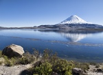 Explore Chungará Lake, Lauca National Park, Chile