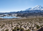 Explore Cotacotani Lake, Lauca National Park, Chile