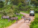 Explore Ngorongoro Conservation Area, Arusha Region, Tanzania (UNESCO Site)