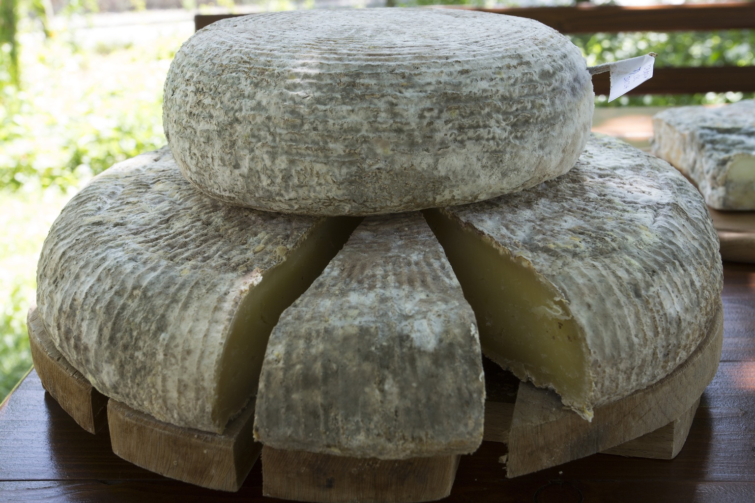 Cherni Vit Cheese