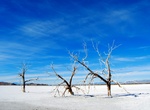 See The Three Sisters, Red Hill Marina County Park, Salton Sea, California