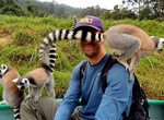 Visit Andasibe National Park and Lemur Island, Madagascar.