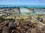 Visit Rusty Bucket, Midway Atoll, Northwestern Hawaiian Islands