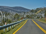 Run Coast to Kosciuszko, New South Wales, Australia