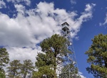 Visit Jacob Lake Fire Lookout, Arizona