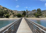 Visit White's Landing & Buffalo Beach, Catalina Island, California