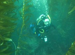 Dive China Point, Santa Catalina Island, California