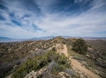 Hike Warren Peak Trail, Joshua Tree National Park, California