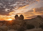 Find Heartbreak Rock, Joshua Tree National Park, California