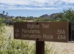 Hike Bigfoot Trail, Joshua Tree National Park, California