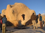 Boulder Stem Gem, Joshua Tree National Park, California