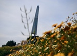 See Silver Wing Monument (Montgomery Memorial), San Diego, California